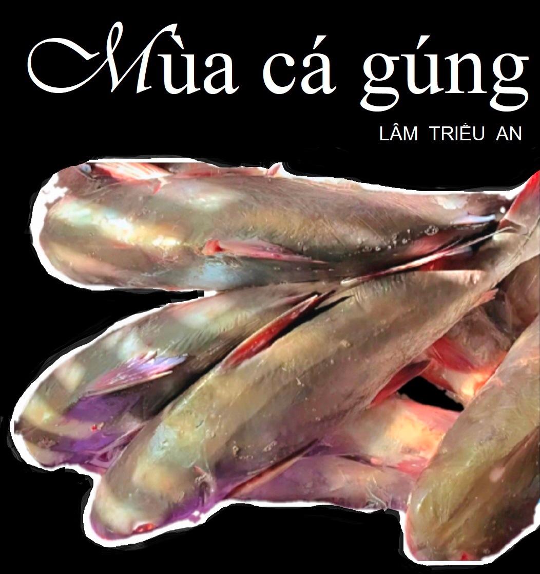 Minh họa Mùa cá gúng.jpg