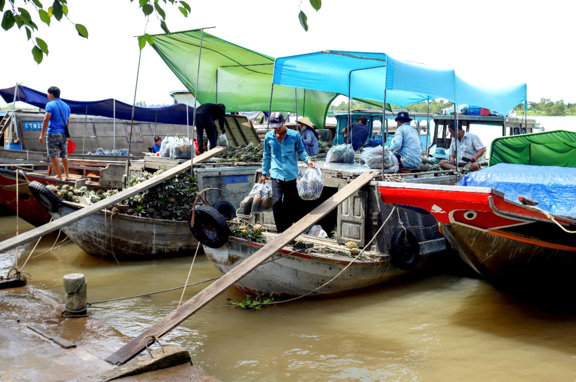 Bến hàng hóa chợ nông sản Ngãi Tứ Tam Bình. Ảnh Hùng Hậu.jpg