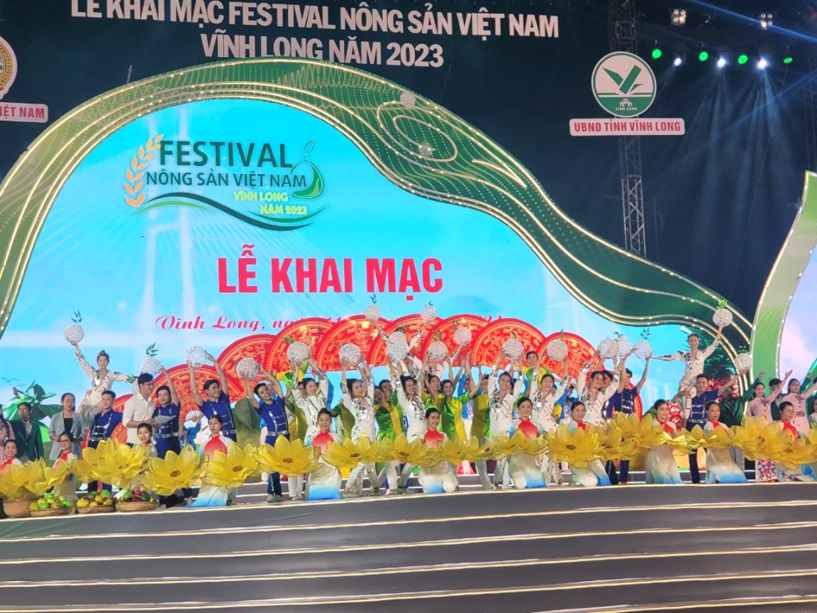 festival 2.jpg